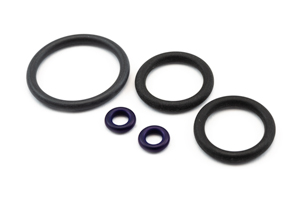 O-ring Kit for Thermo Q Torch Base